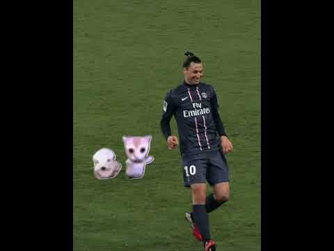 Zlatan’s smile at the end… 🤝 #football #ligue1 #sports #psg #footballshorts #foot #soccer #shorts