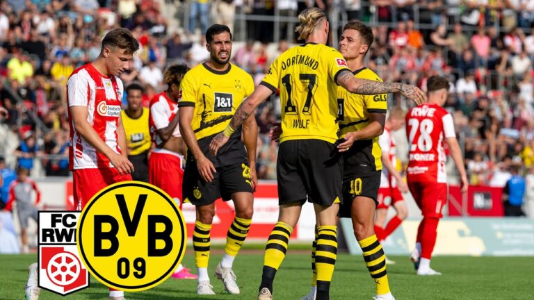 wolf s’assure une victoire tardive ! | rot weiss erfurt – bvb 1:2 | points forts
